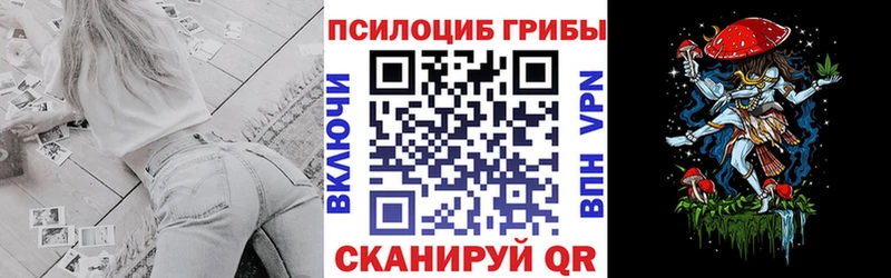 darknet формула  Славск  Псилоцибиновые грибы мухоморы 